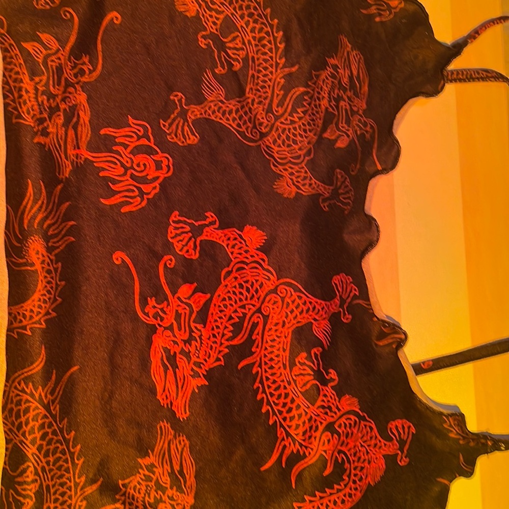 Dragon top